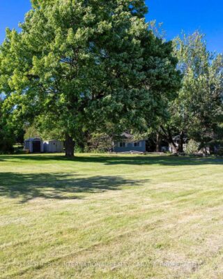 4 Starr Place, Kingston