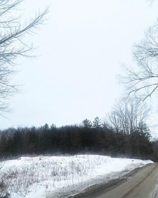 430 Beaver Road, Trent Hills