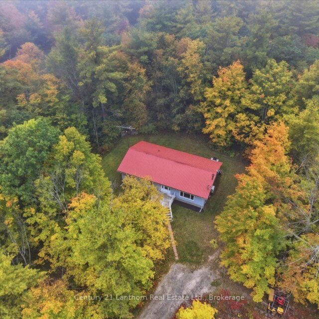 47 Reynolds Road, Madoc