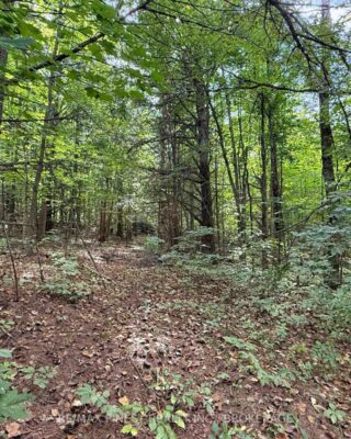 4900 County Rd 4, Stone Mills