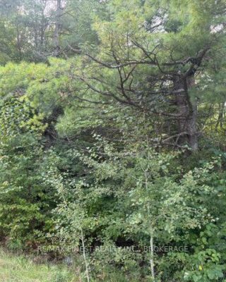4900 County Rd 4, Stone Mills