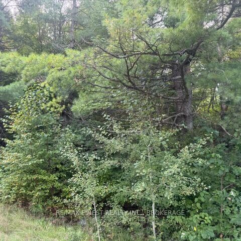 4900 County Rd 4, Stone Mills