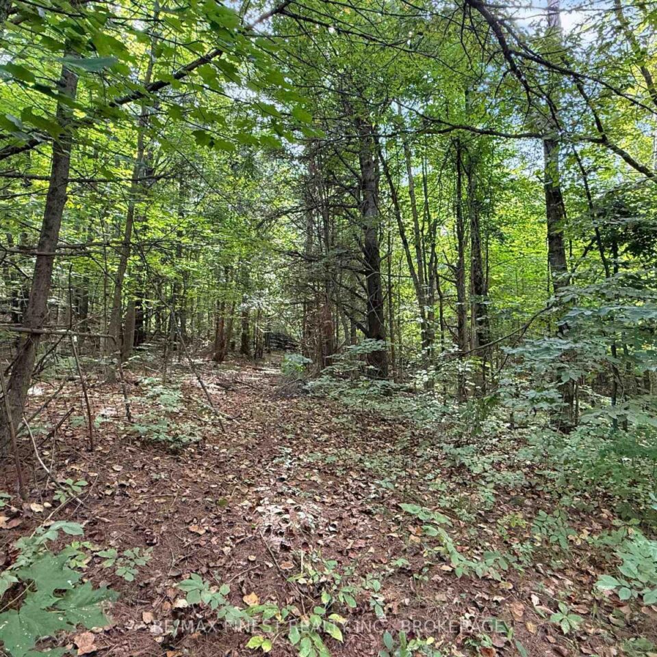 4900 County Rd 4, Stone Mills