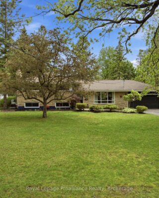 51 Selena Avenue, Belleville