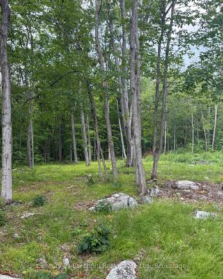 554 Pigden Road, Madoc