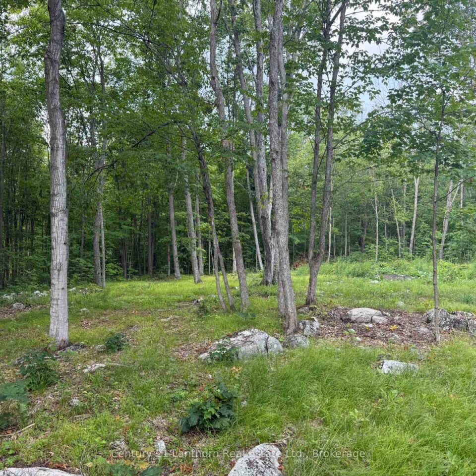 554 Pigden Road, Madoc