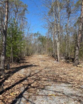 6192 County Rd 50, Trent Hills