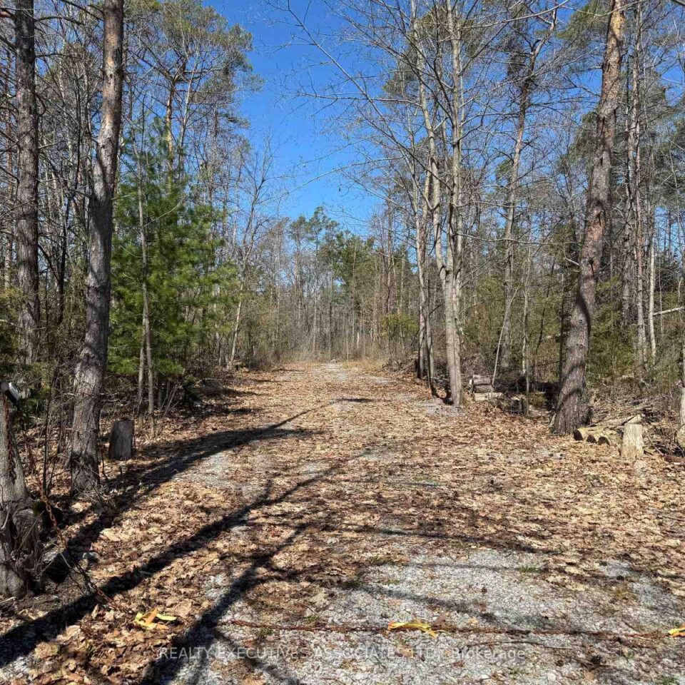 6192 County Rd 50, Trent Hills