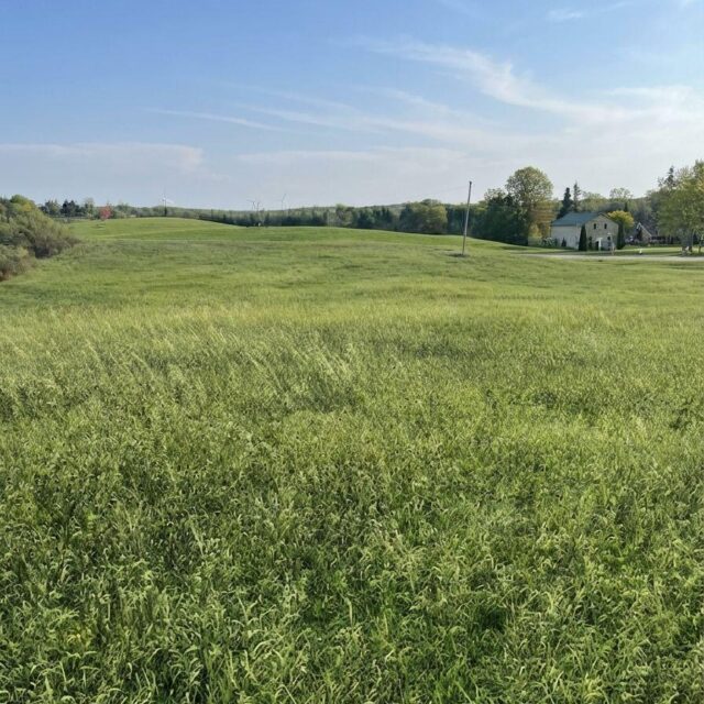 6562 County 4 Road, Stone Mills