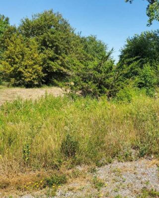 66 Dorland Drive, Greater Napanee