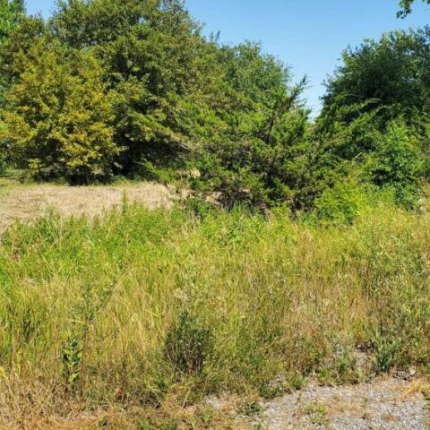 66 Dorland Drive, Greater Napanee