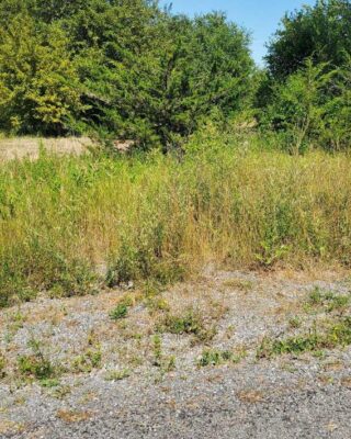 66 Dorland Drive, Greater Napanee