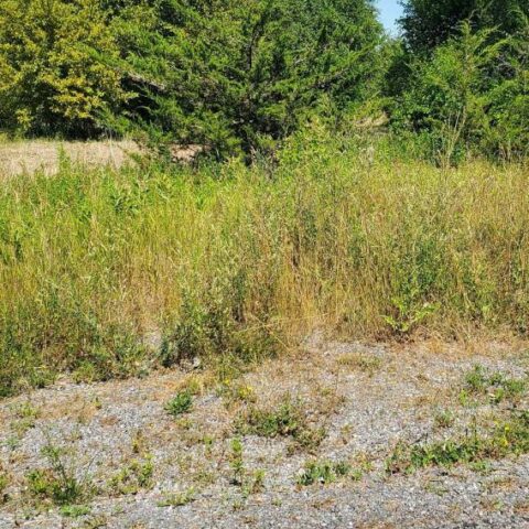 66 Dorland Drive, Greater Napanee