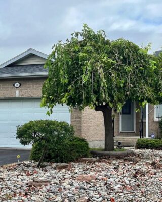 721 Millwood Drive, Kingston