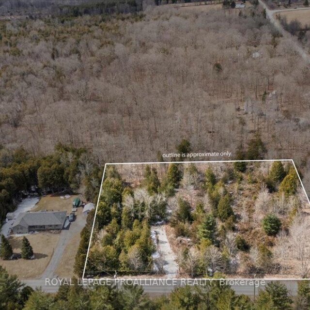 817 Carson Road, Centre Hastings