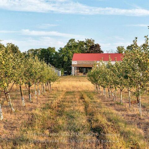 890 Danforth Road, Prince Edward County