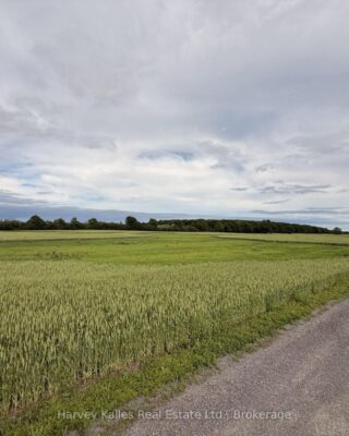 Beside 243 Morgan Road, Prince Edward County