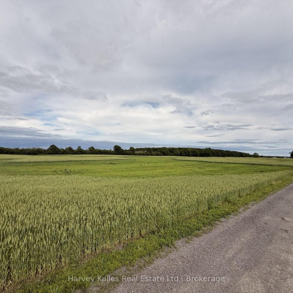 Beside 243 Morgan Road, Prince Edward County