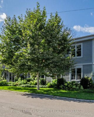 Ground – 60 Mill Street, Gananoque