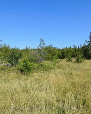 Lot 16 Westplain Road, Greater Napanee