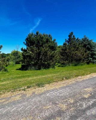 Lot 20 South Shore Road, Greater Napanee