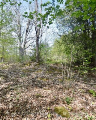 Lot 3 Ballantra Drive, Stone Mills