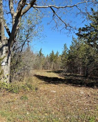 Lot 3 Galbraith Grove Road, Stone Mills