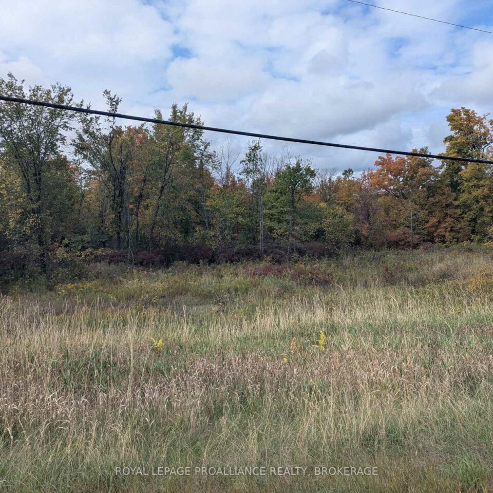 Lot 34 Leo Lake Road, Kingston