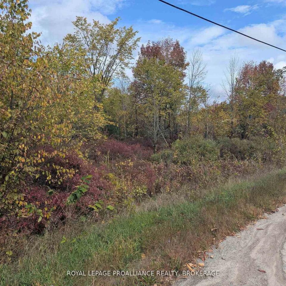Lot 34 Leo Lake Road, Kingston