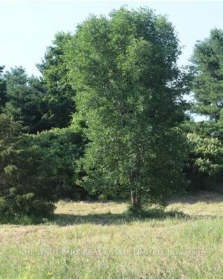 Lot 35 Prinyers Cove Crescent, Prince Edward County