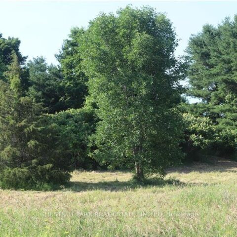 Lot 35 Prinyers Cove Crescent, Prince Edward County