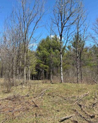 Lot 4 Leveque Road, South Frontenac