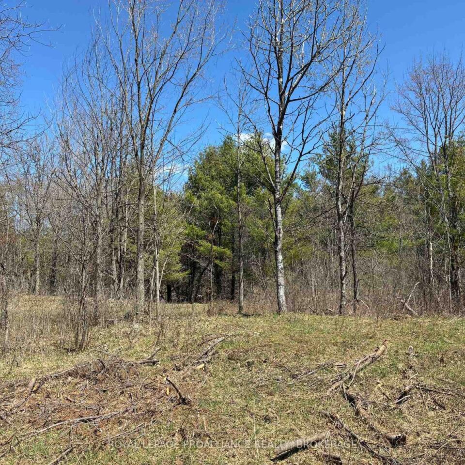 Lot 4 Leveque Road, South Frontenac