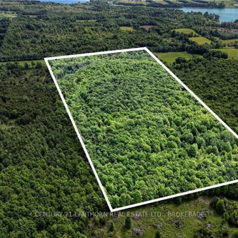 Lot 8 Waddell Road, Stone Mills