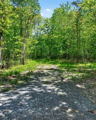 Pt Lts 12 & 13 Devil Lake Road, South Frontenac