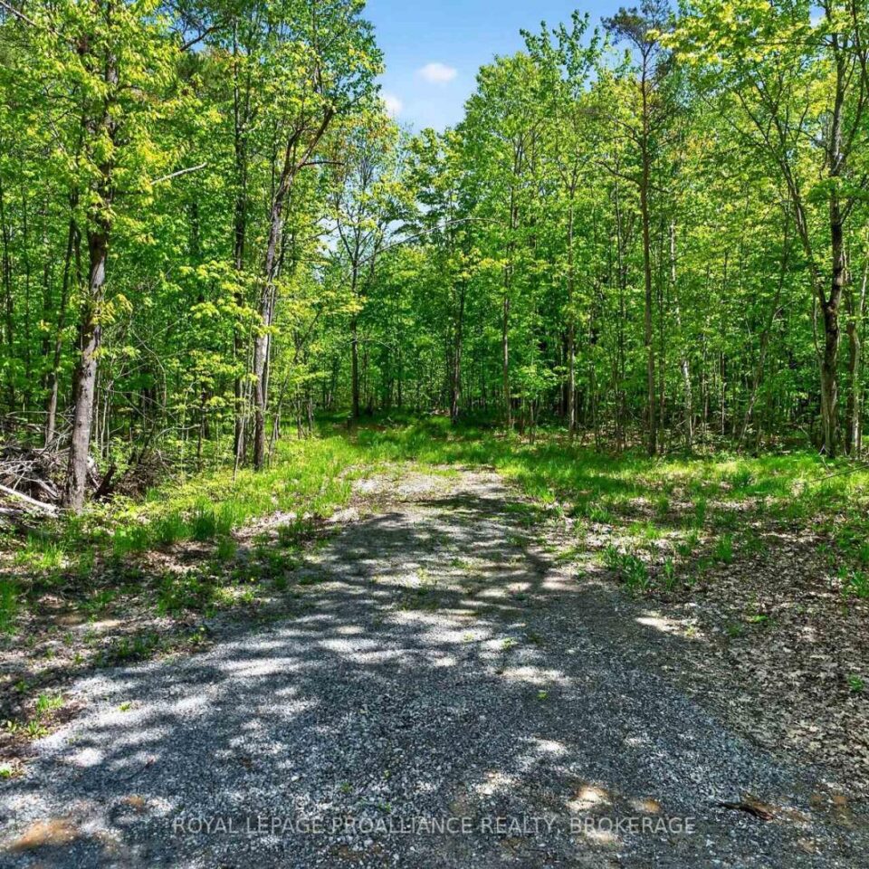 Pt Lts 12 & 13 Devil Lake Road, South Frontenac