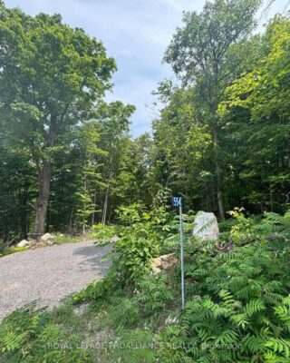 Severed B – 554 Pigden Road, Madoc